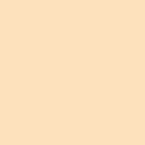 Tan Plastic Cards
